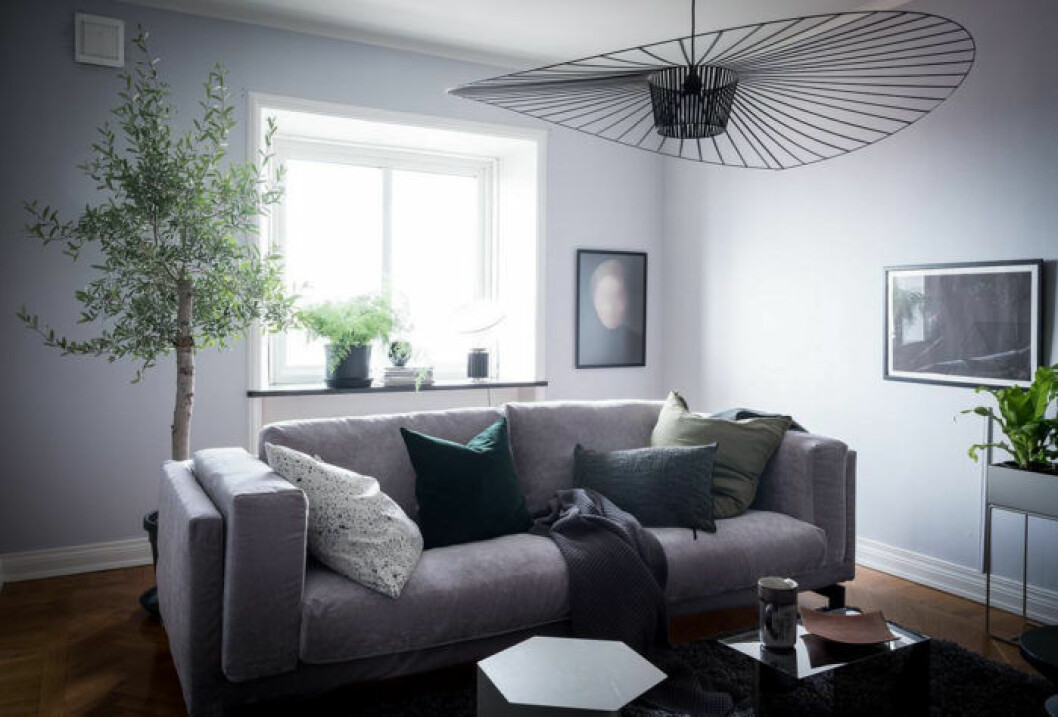 Foto: Alen Cordic Styling: Emma Fischer för <a href="https://www.instagram.com/bjurfors_goteborg/" target="_blank" rel="noopener">Bjurfors</a>/mäklare: Sarah Gustafsson Träd i vardagsrummet. Takpendel och grå soffa.