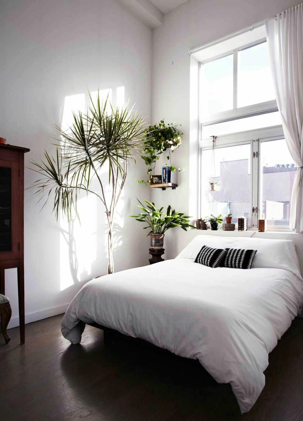 Foto: Genevieve Garruppo för Design Sponge via <a href="http://www.brownstoner.com/interiors-renovation/interior-design-ideas-plants-brooklyn-loft-east-williamsburg-tula/" target="_blank" rel="noopener">Brownstoner</a> 11. inred-vaxter