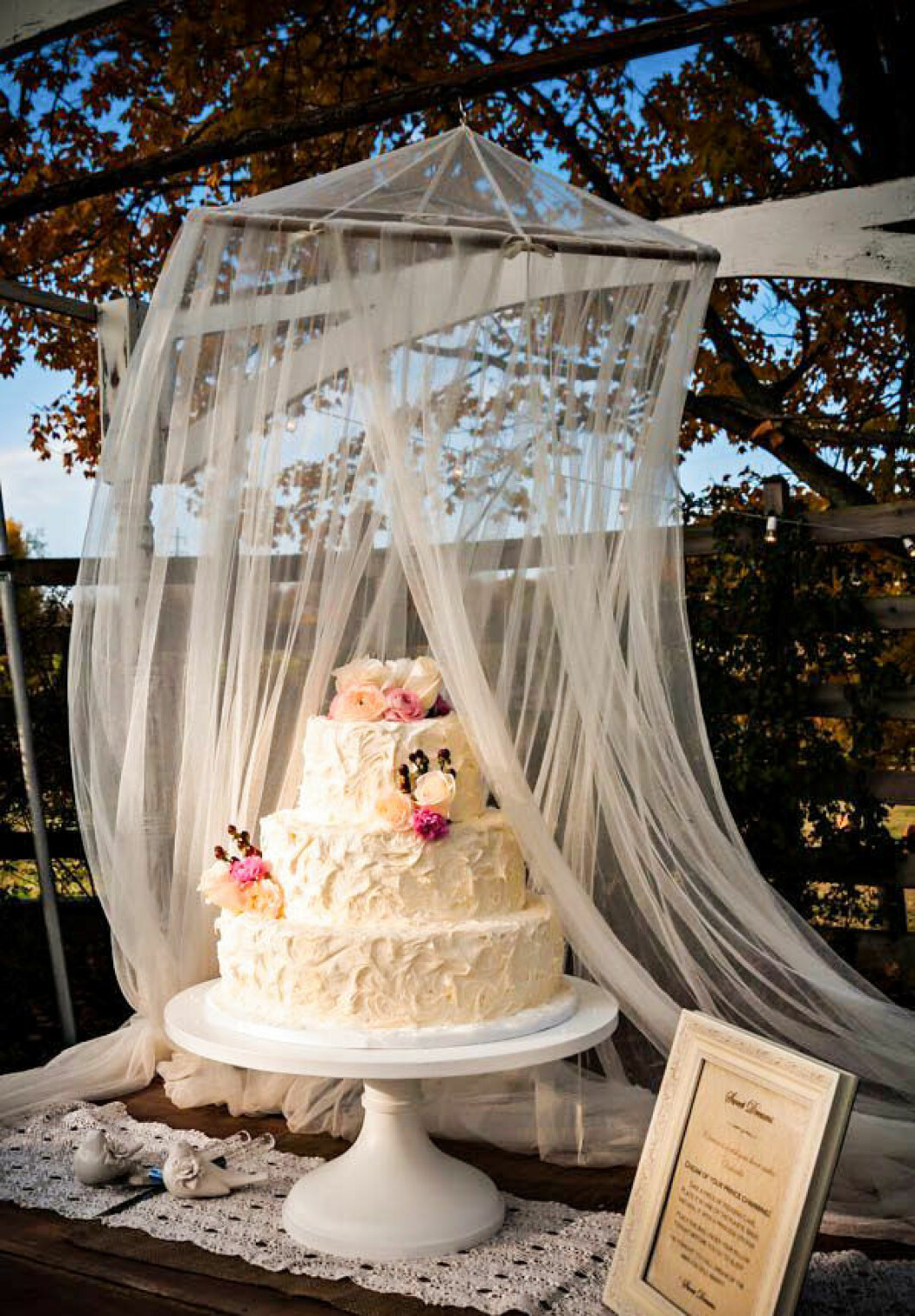 Foto via: <a href="https://www.topweddingsites.com/wedding-blog/uncategorized/tied-up-in-tulle" target="_blank" rel="noopener">Top wedding sites</a> Tyll på bröllop, över bröllopstårta på utomhusbröllopet.