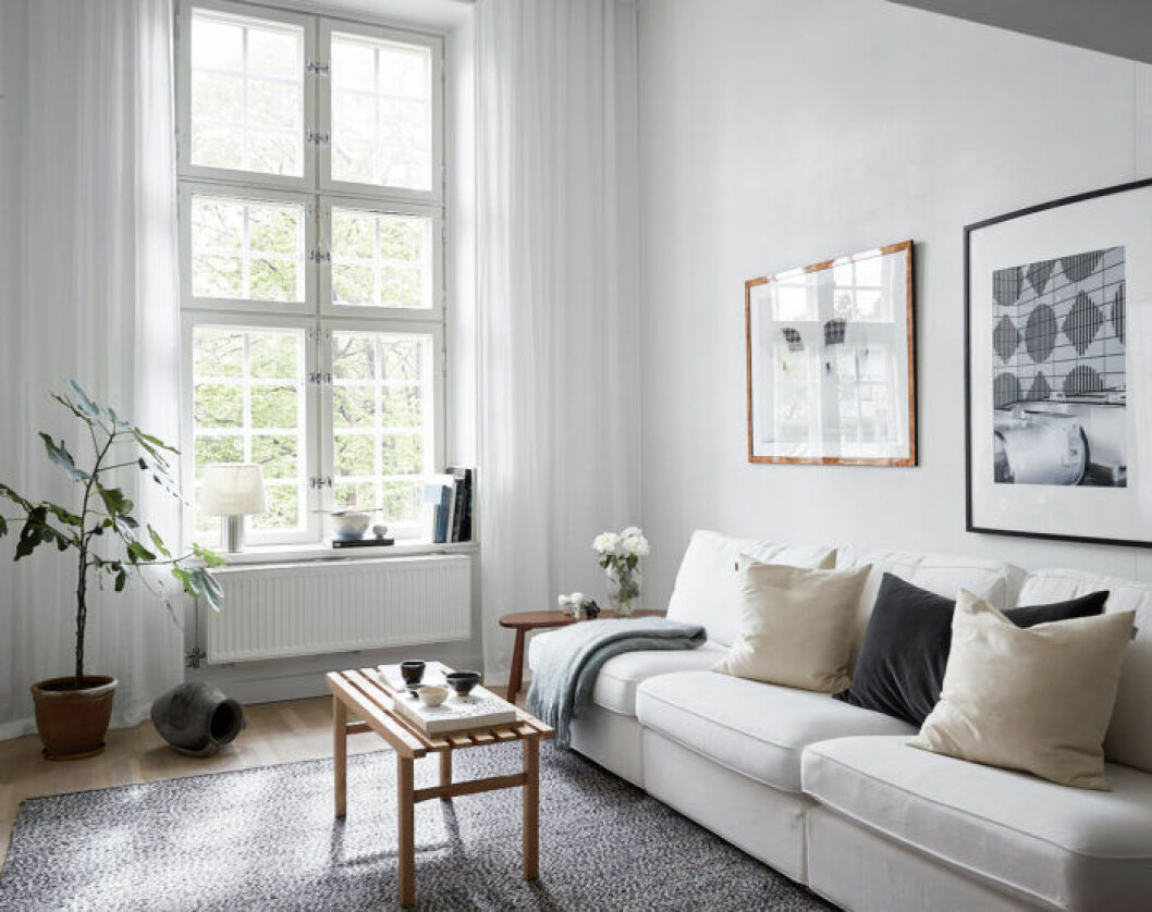 Foto: Fredric Boukari Styling: Rydman för <a href="https://www.instagram.com/historiskahem/" target="_blank" rel="noopener">Historiska hem</a>/mäklare: Mattias Öhman Fikonträd i ljust vardagsrum och vita gardiner.