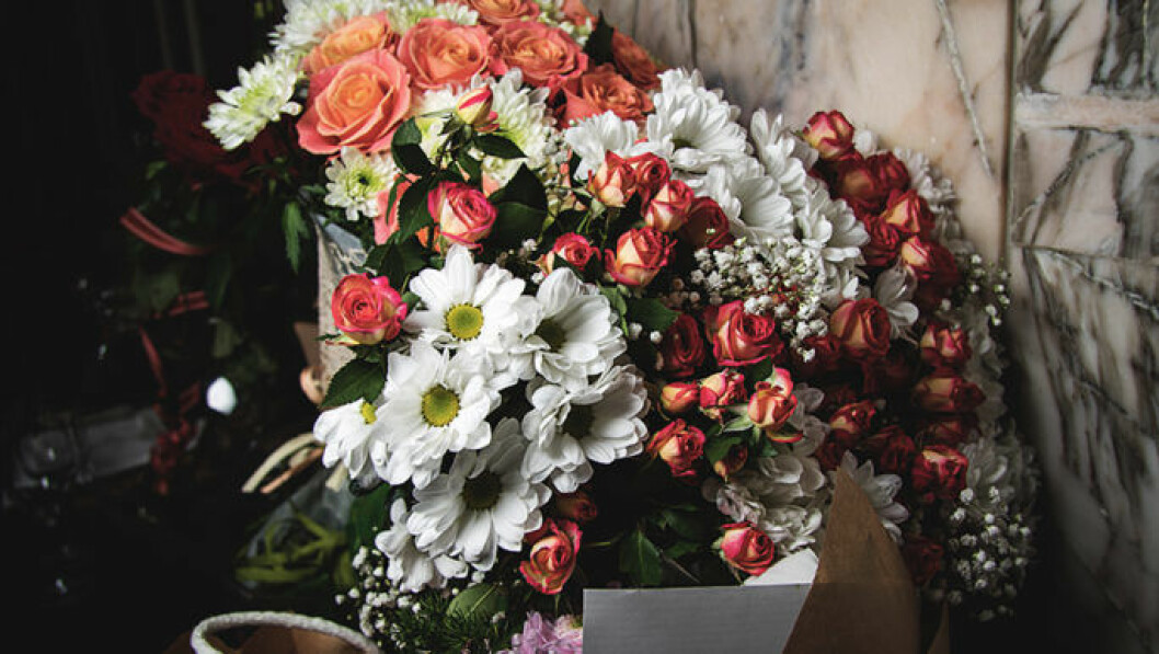 Foto: Shutterstock Snittblommor i bukett