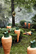 Stora morötter för trädgården från Ellos Homes samarbete med Lisa Bengtsson.