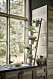 Dekorationsstege i trä med växter, från Ikea