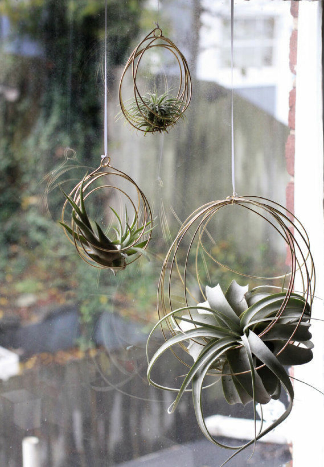 Foto: Elaine B Jewelry Airplants i fönstret