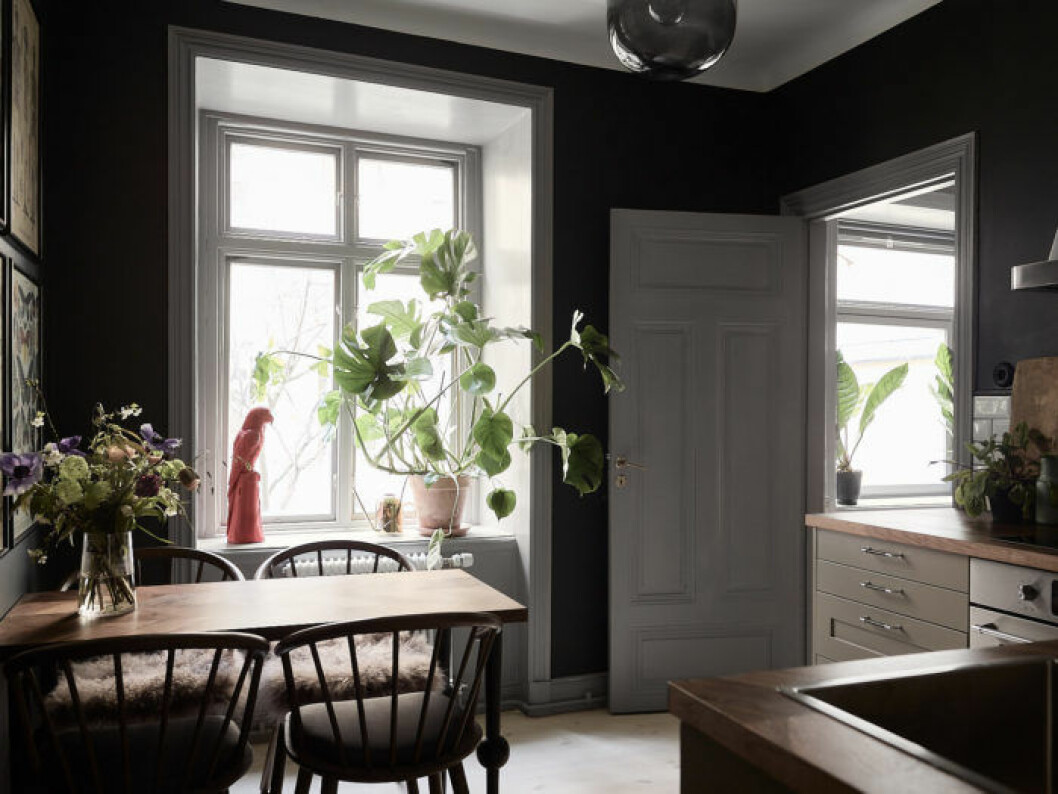 Mörkmålat kök, fågeldekoration och monstera.