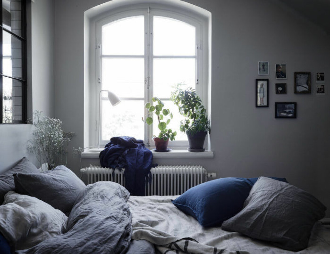 Foto: Fredric Boukari Styling: Lindholm för <a href="https://www.instagram.com/historiskahem/" target="_blank" rel="noopener">Historiska hem</a>/mäklare: Katarina Ljung Mysigt sovrum med glasfönster, elefantöra i kruka. Liten tavelvägg.