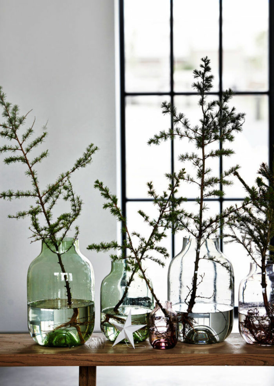 Foto: <a href="http://housedoctor.dk/" target="_blank" rel="noopener">House doctor</a> Granris i olika former och storlekar.