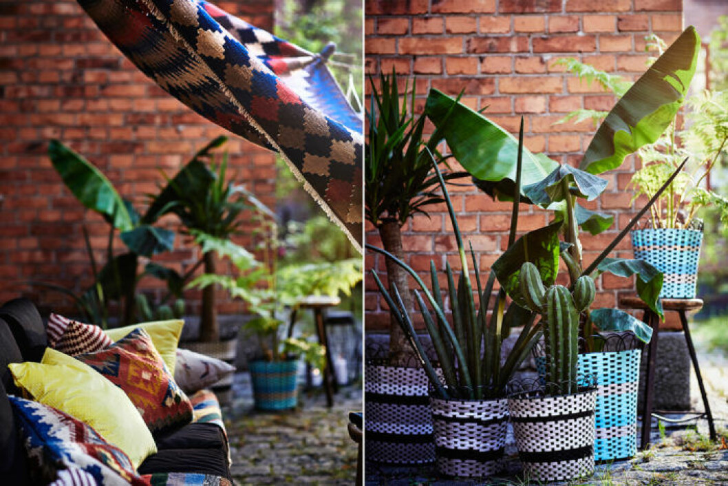 Trendig bananplanta och korgar. Ikeas sommarnyheter 2018.