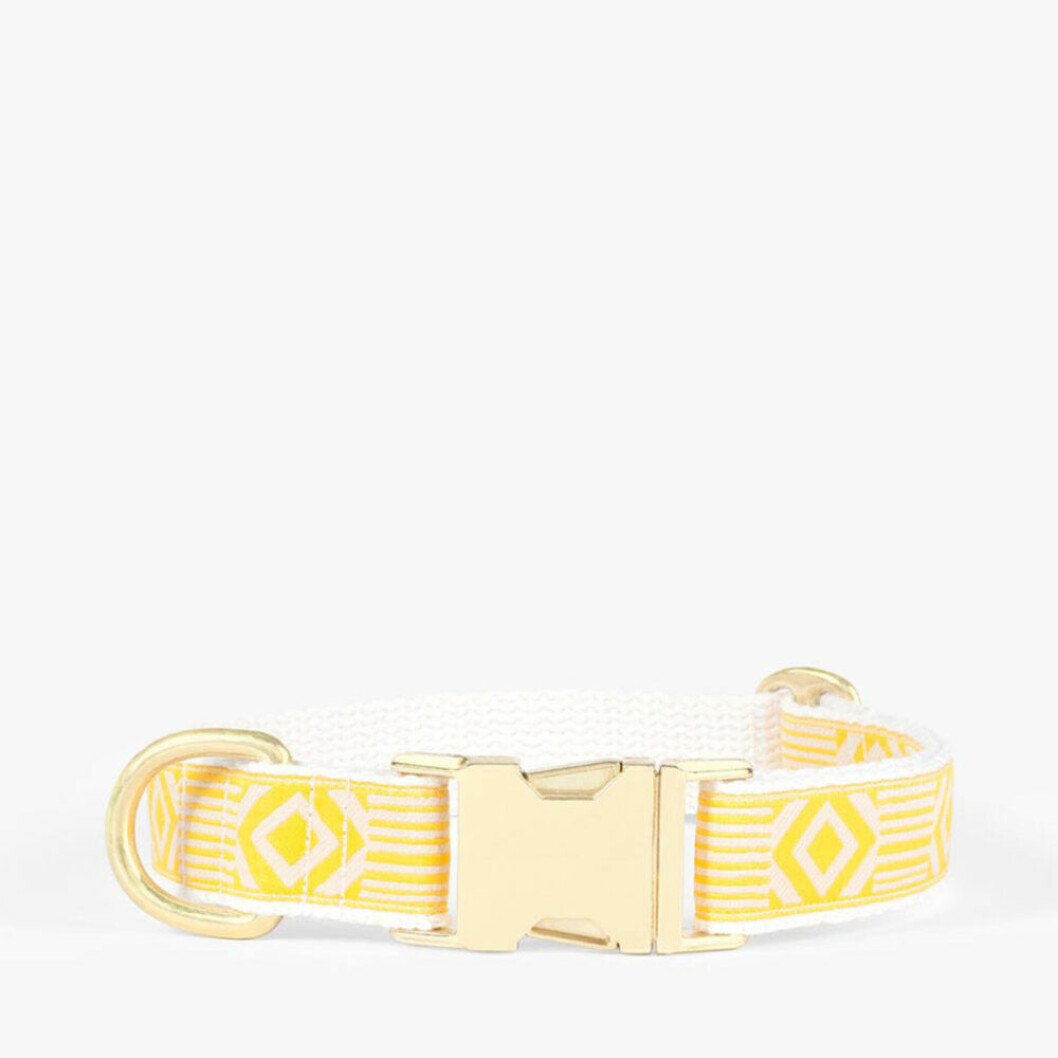 Gult halsband till hunden