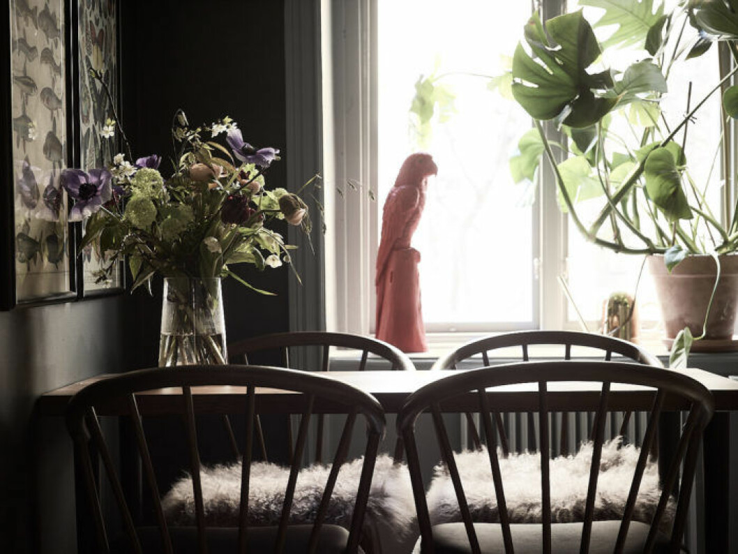 Närbild på blombukett på köksbordet, rosa fågeldekoration, vattenkanna i mässing och monstera i lerkruka.