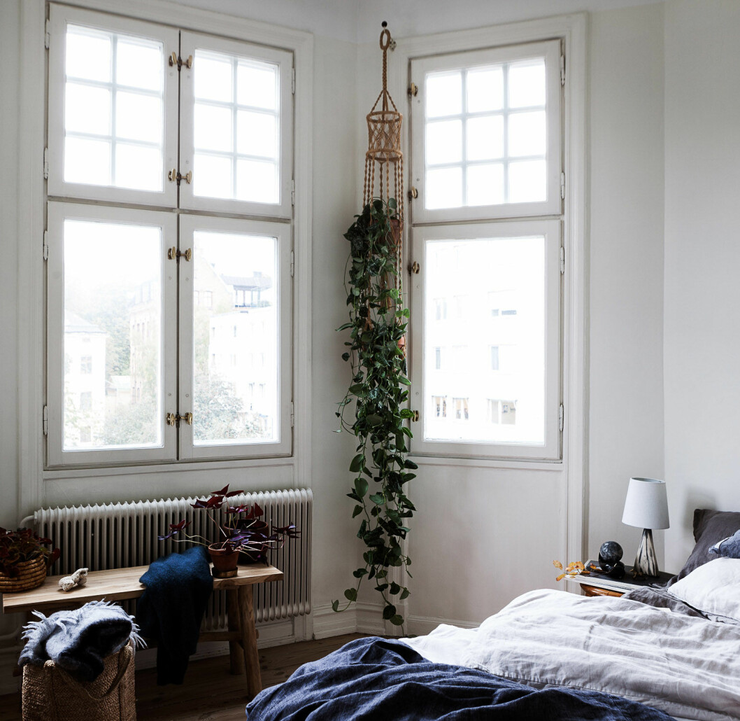 Foto: Johan Spinnell Styling: Jonna Fransson för <a href="https://www.instagram.com/historiskahem/" target="_blank" rel="noopener">Historiska hem</a>/mäklare: Marie Holmerson Bedroom with green plants and blue bedding.