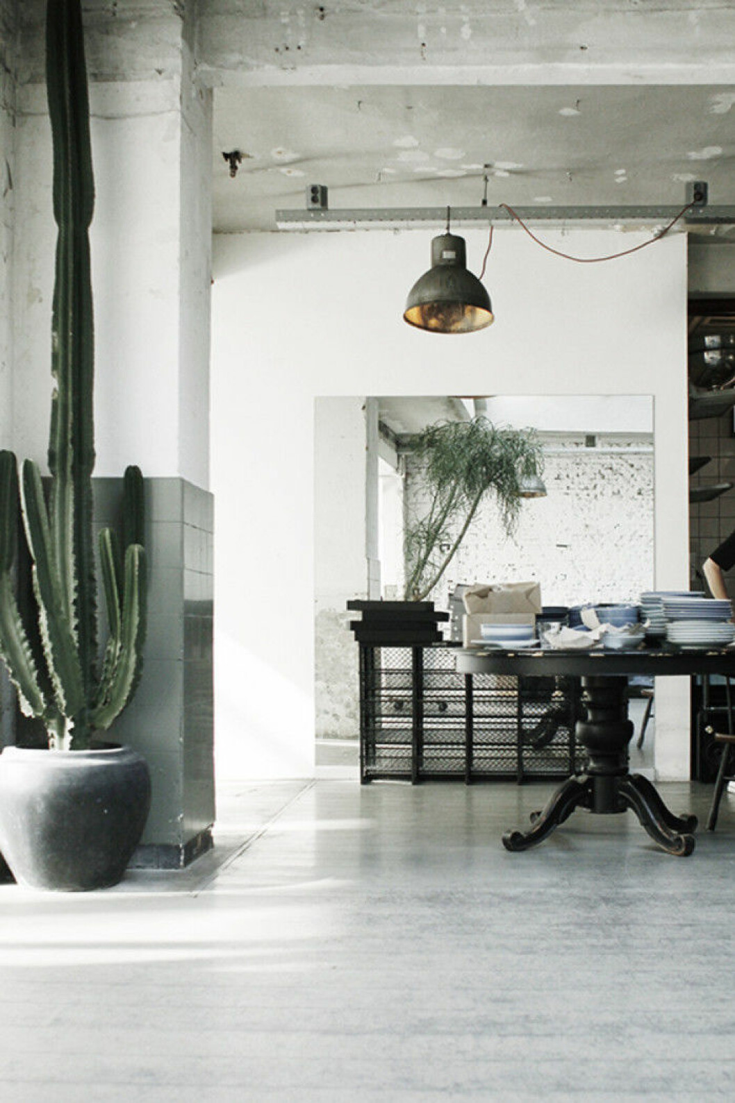 Via: <a href="http://www.theblogdeco.com/28589/sunday-moodboard-2/" target="_blank" rel="noopener">The Blog Deco</a> Jättekaktus. Industrilampa