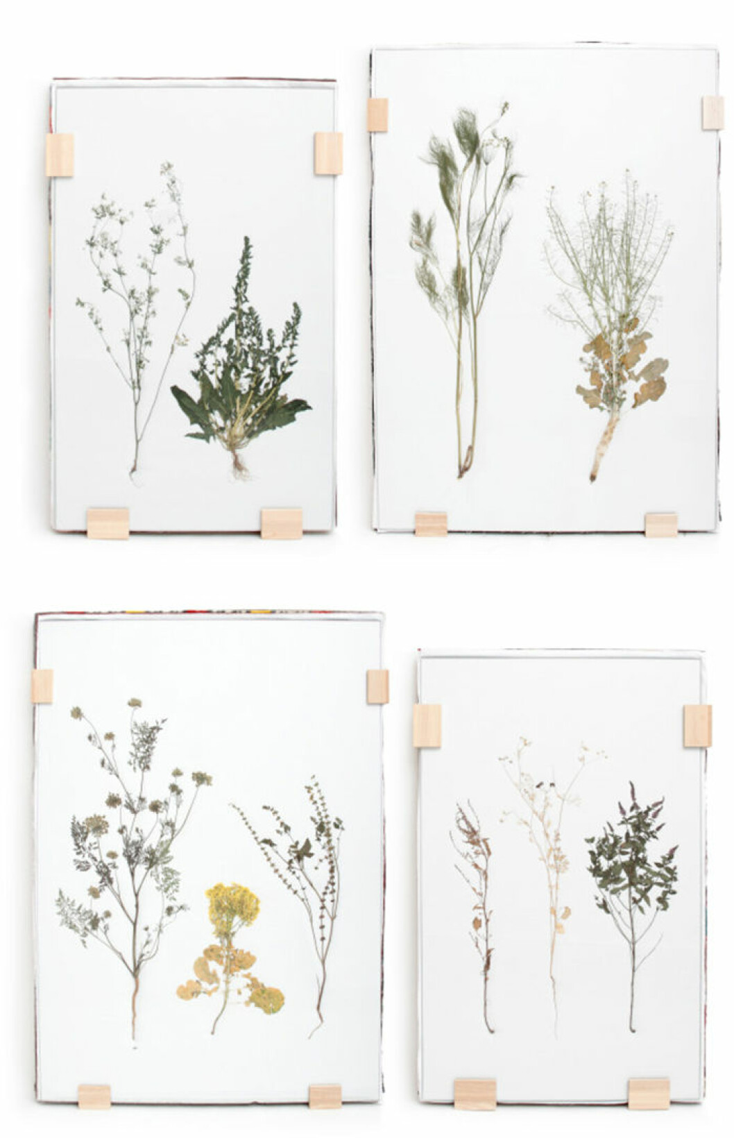 Foto: <a href="http://anthologymag.com/blog3/2015/04/09/studio-maarten-kolk-guus-kusters/">Anthologymag.com</a> 700_anthology-mag-blog-studio-maarten-kolk-guus-kusters-2