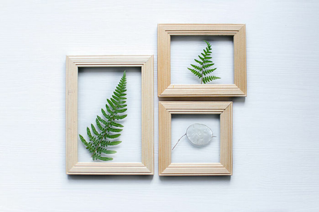 Foto: Sandra Hjort/<a href="http://atilio.metromode.se/2015/09/24/diy-vaxter-i-glasramar-utan-bakstycke/">Atilio</a> 700_atilio_monthlymakers_pressade_vaxter