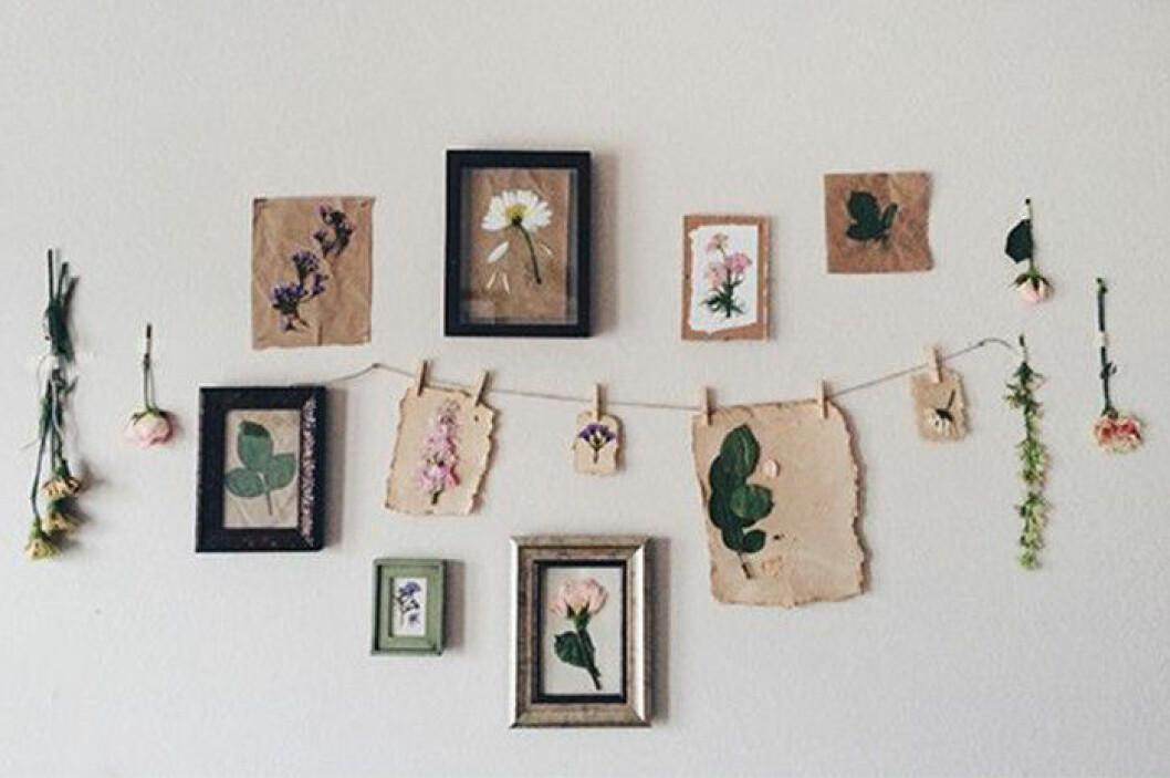 Foto: <a href="https://www.bloglovin.com/blogs/free-people-blog-237509/diy-pressed-flower-prints-4169982075">Julia Keim</a> 700_juliakeim_pressade_vaxter
