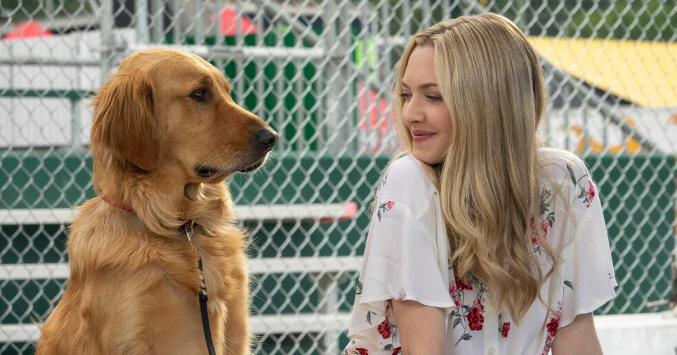 Disney Plus Nya Filmer 172