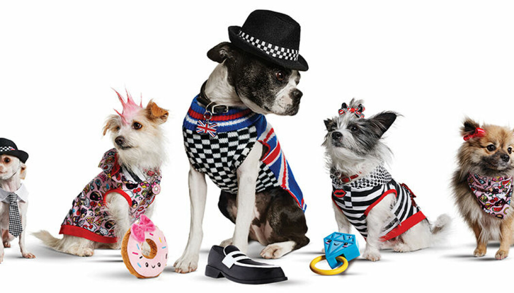 Gwen Stefanis släpper minikollektion – för hundar