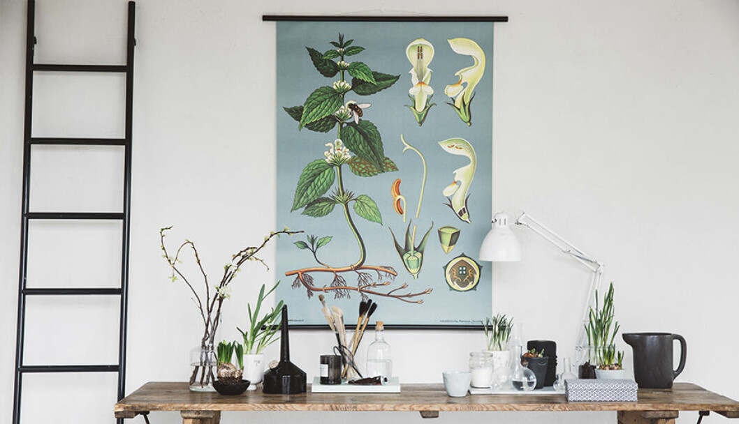 Canvasposter <em>Nässla</em>. Stylist: Pella Hedeby. Fotograf: Emma Mattsson 900_Canvasposter Nassla av Pella Hedeby 4