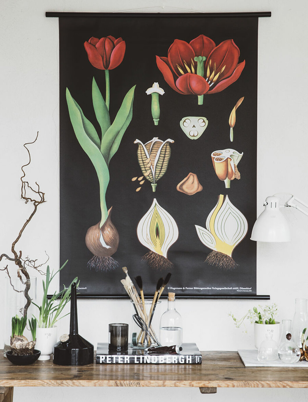 Canvasposter <em>Tulpan</em>. Stylist: Pella Hedeby. Fotograf: Emma Mattsson 900_Canvasposter Tulpan av Pella Hedeby 4