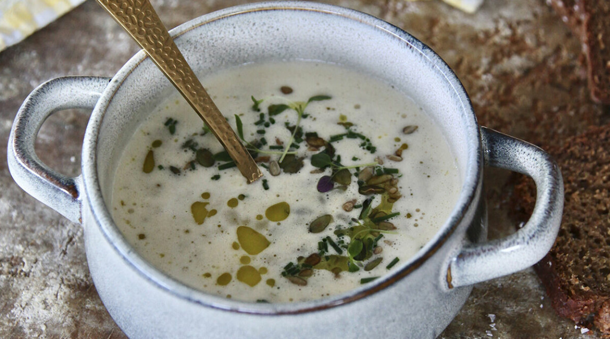 Crème ­vichyssoise­ med rostade ­pumpa- och solros­kärnor