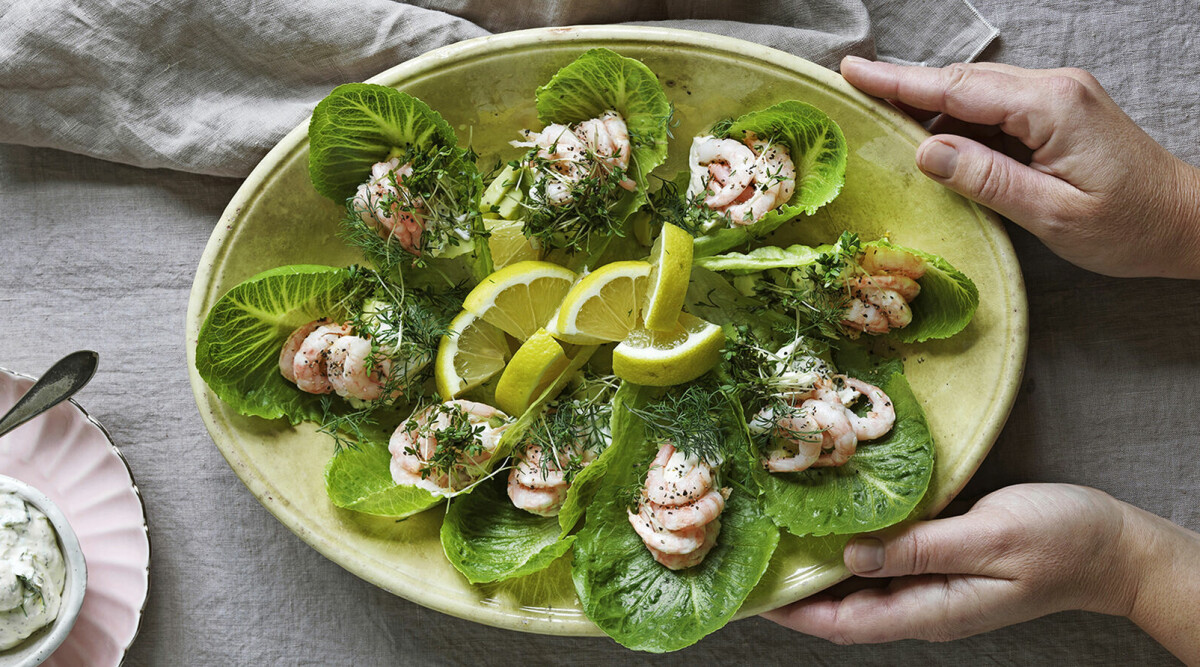 Spröda salladsblad med räkor och dillkräm