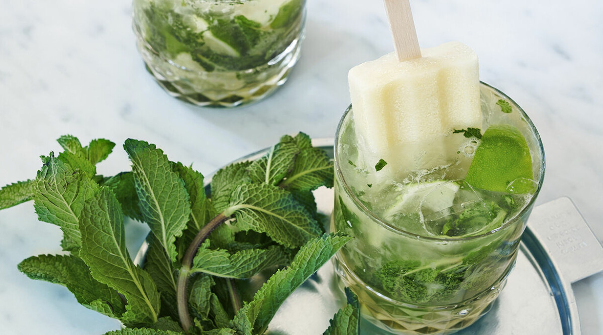 Mojito pop – kyl drinken med en isglass