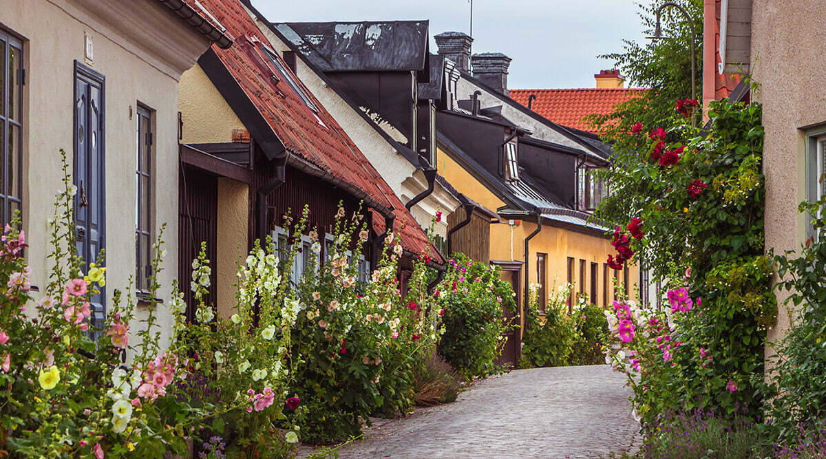 Gotland: Restaurangerna du inte får missa i Visby