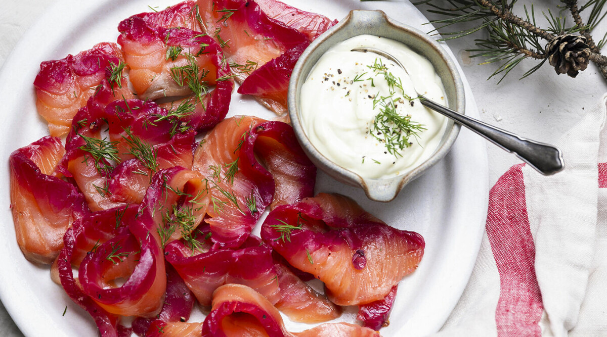 Rödbetsgravad lax med wasabicrème