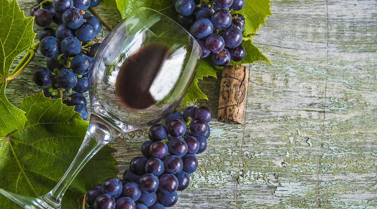 Allt du behöver veta om Beaujolais Nouveau