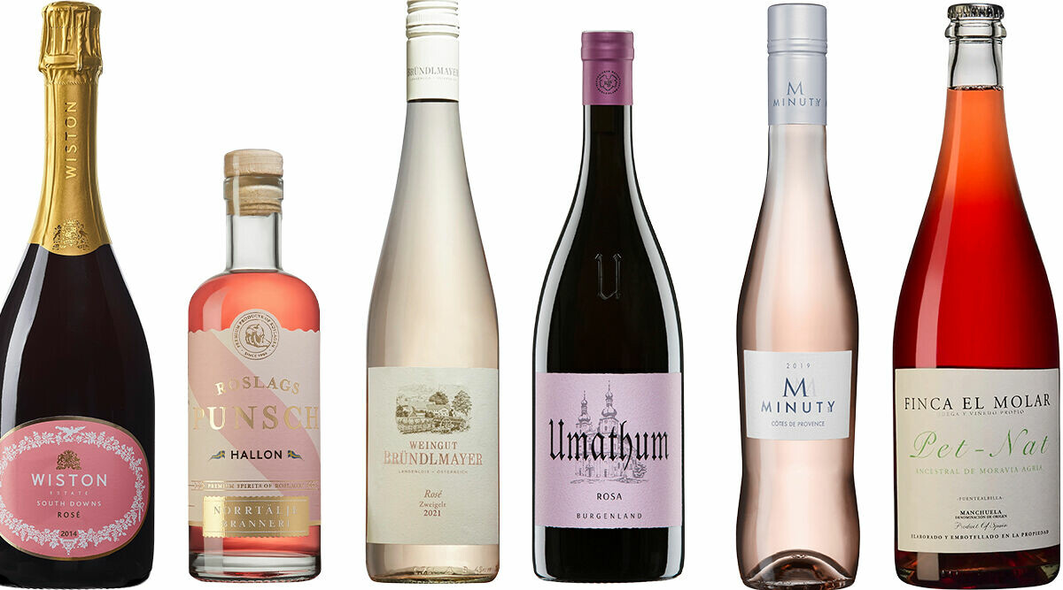 6 rosétips från sommelier Maya Samuelsson