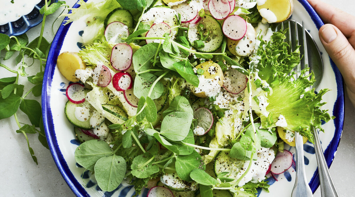 Krämig potatissallad med parmesandressing