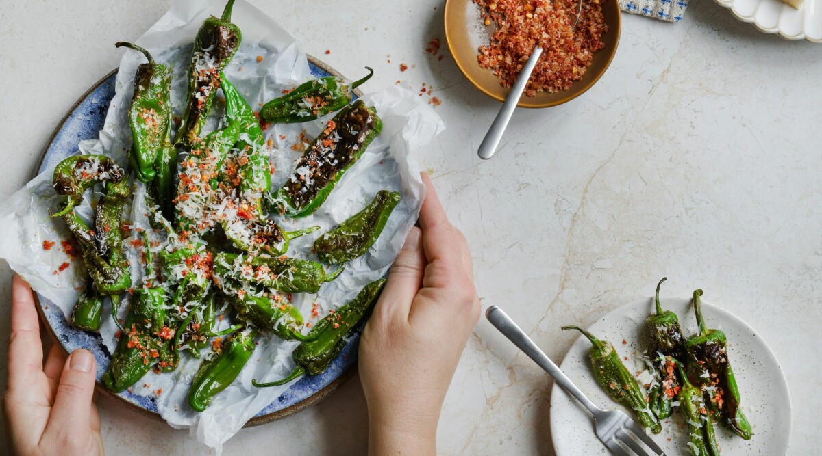 Pimiento de padrón med chilisalt och manchego