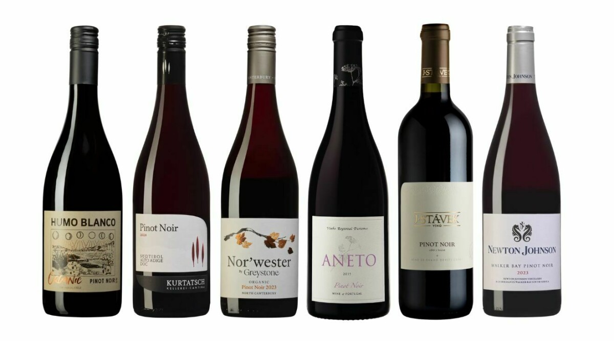 Pinot noir jorden runt – 6 flaskor att upptäcka