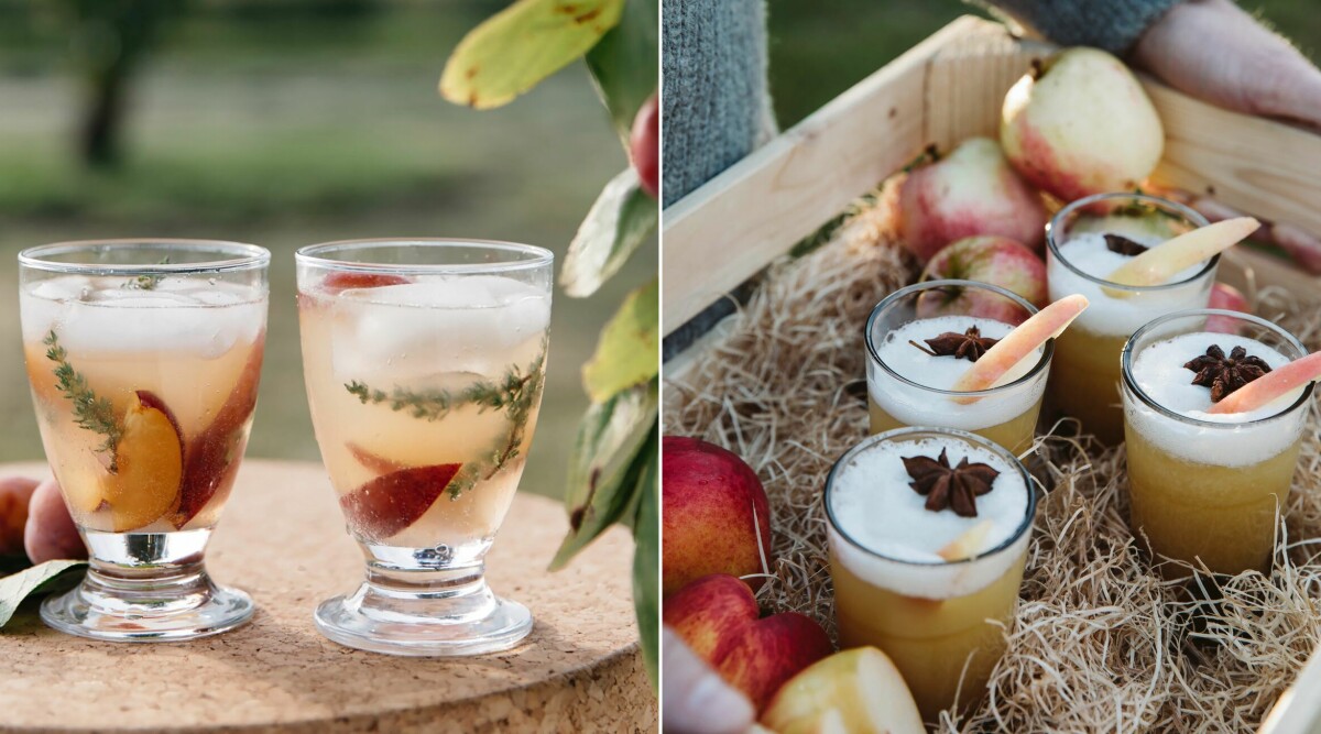 4 höstiga cocktails med säsongens plommon, äpplen och päron