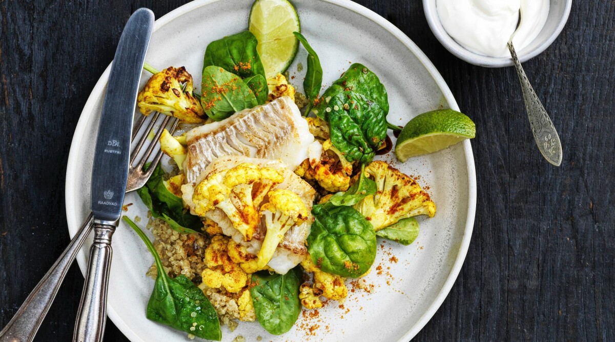 Torsk med curryfrästblomkål och quinoasallad