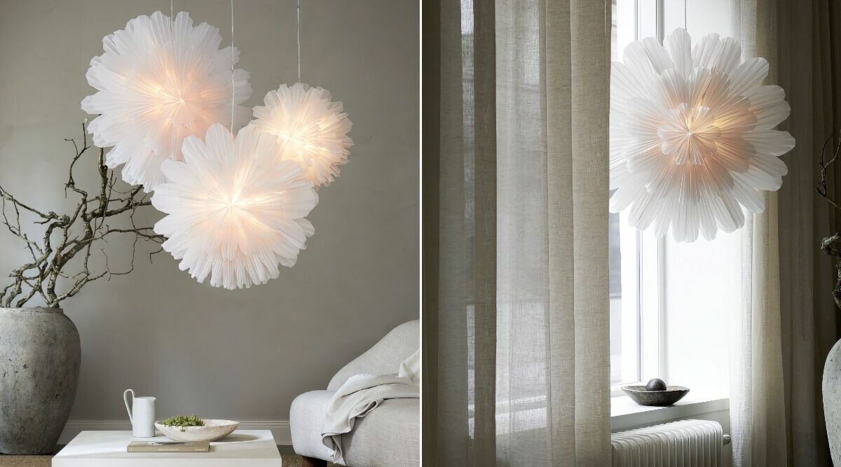 Populära adventsstjärnan fyller 10 år – släpps nu i ny storlek