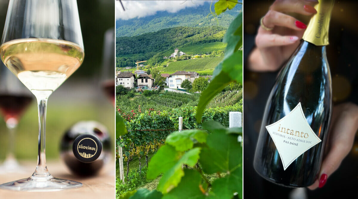 Alto Adige – följ med till Italiens dolda vinpärla