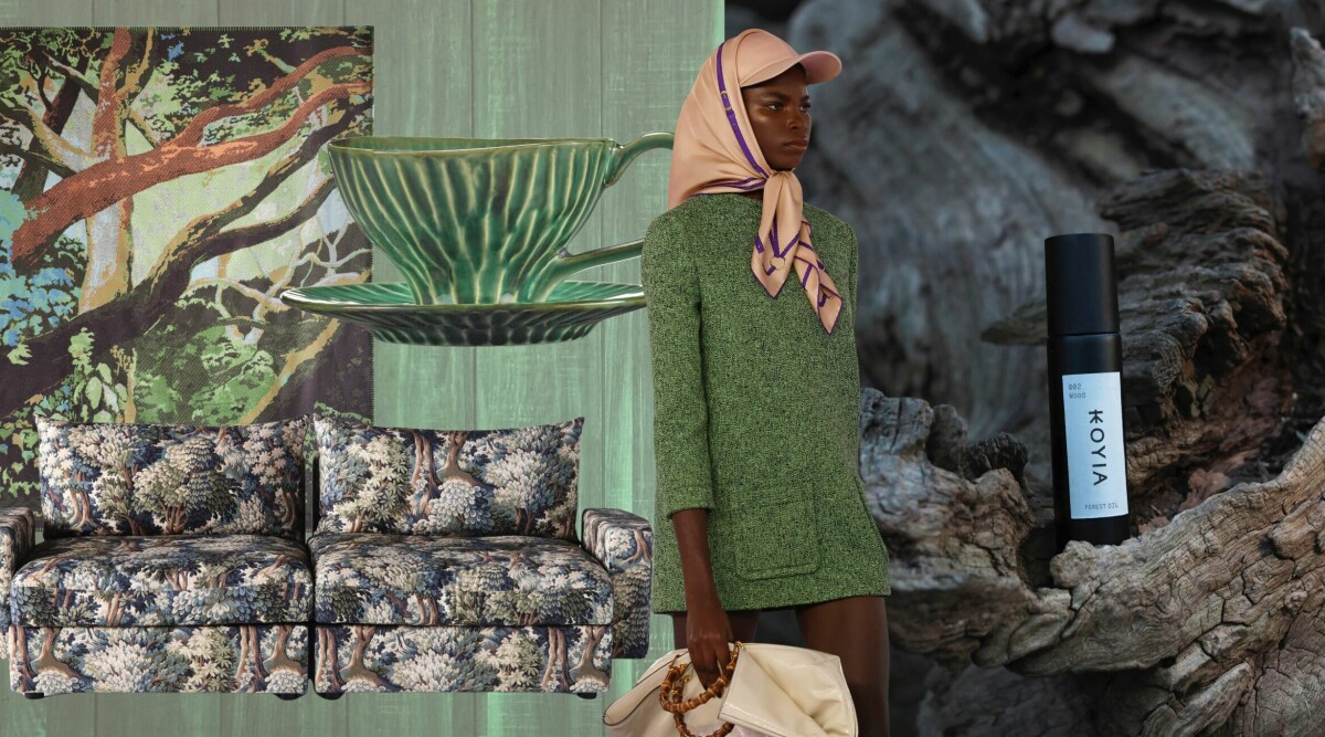 Färg, form och doft – nu plockar vi in skogen i våra hem