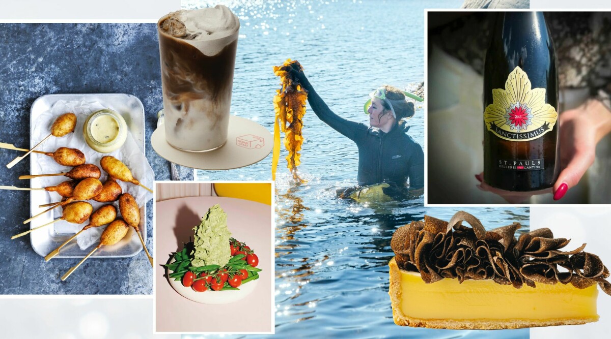 ELLE mat & vin trendspanar – det här äter och dricker vi 2026