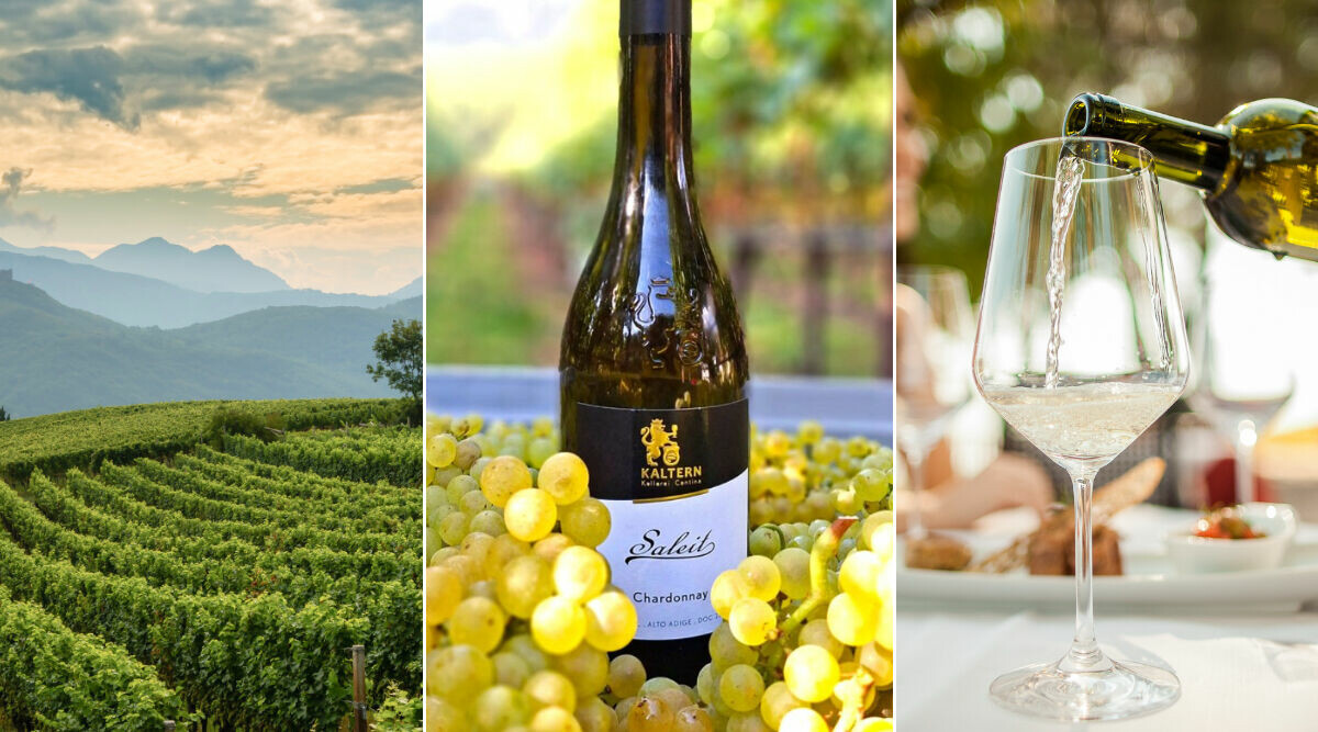 Veckans vin: Chardonnay med alpglans – nyhet från norra Italien