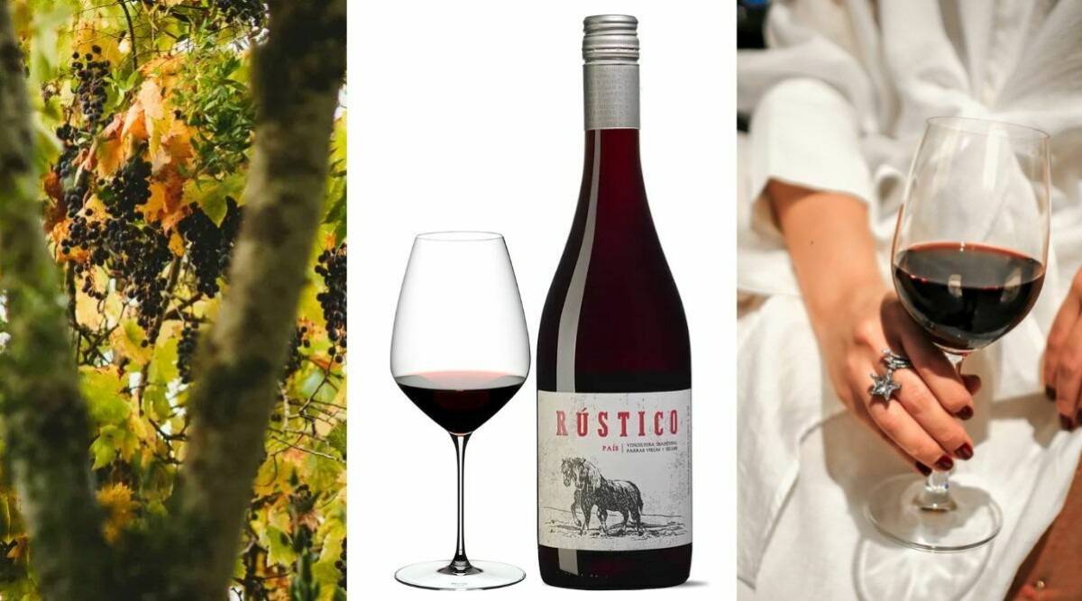 País – druvan alla vinälskare pratar om just nu