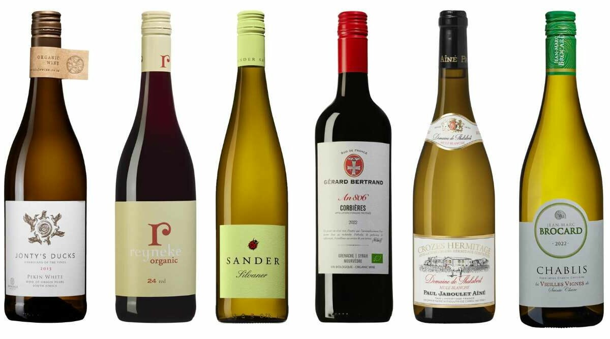 6 hållbara viner du kan dricka med gott samvete