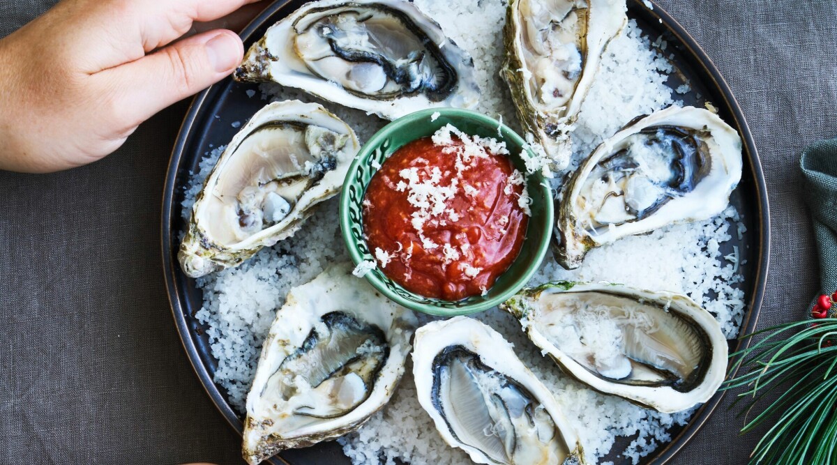 Ostron med tomat- och citrusdressing