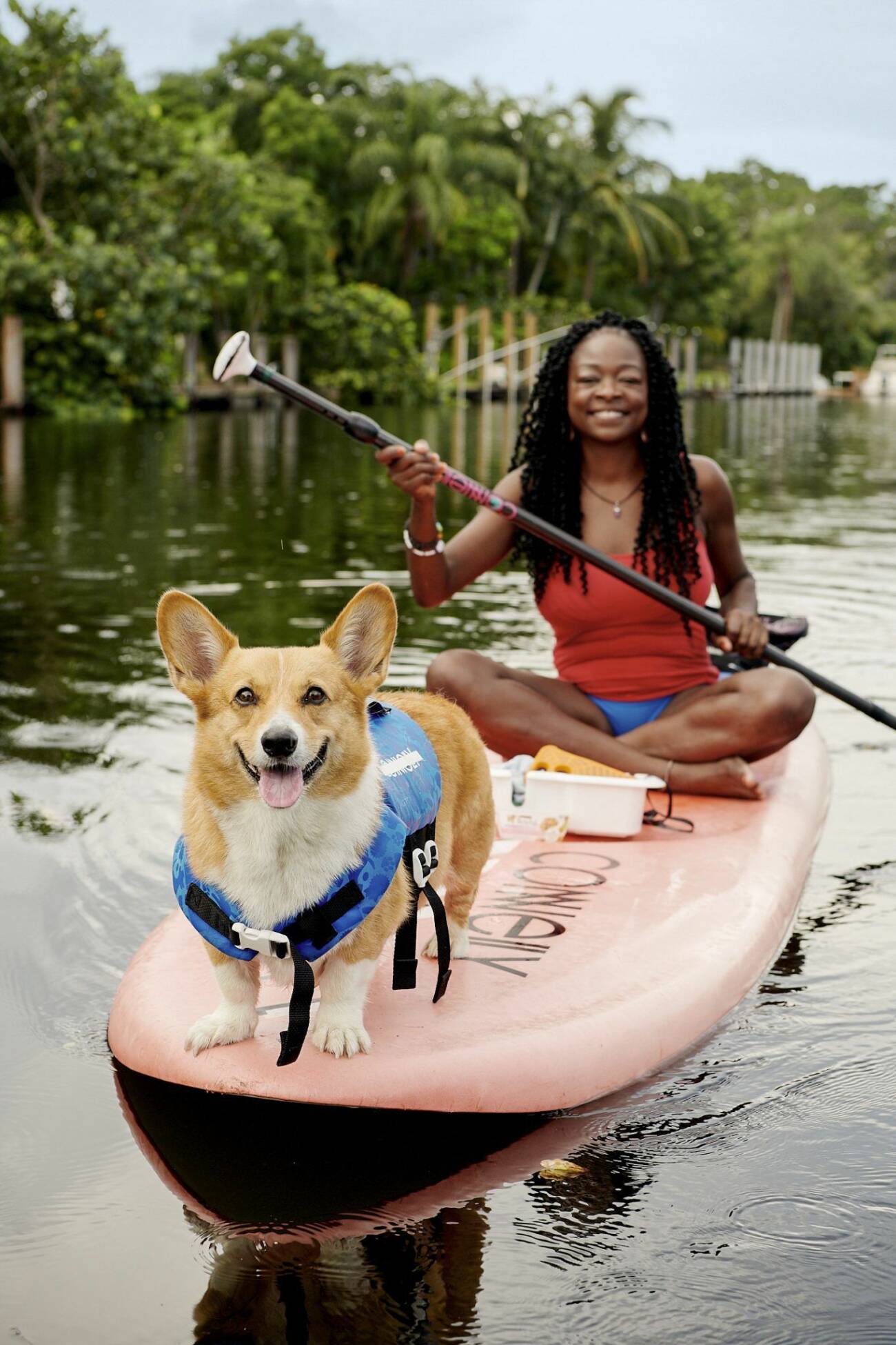 Sup-paddla med en corgi via Airbnb:s nya djurupplevelser