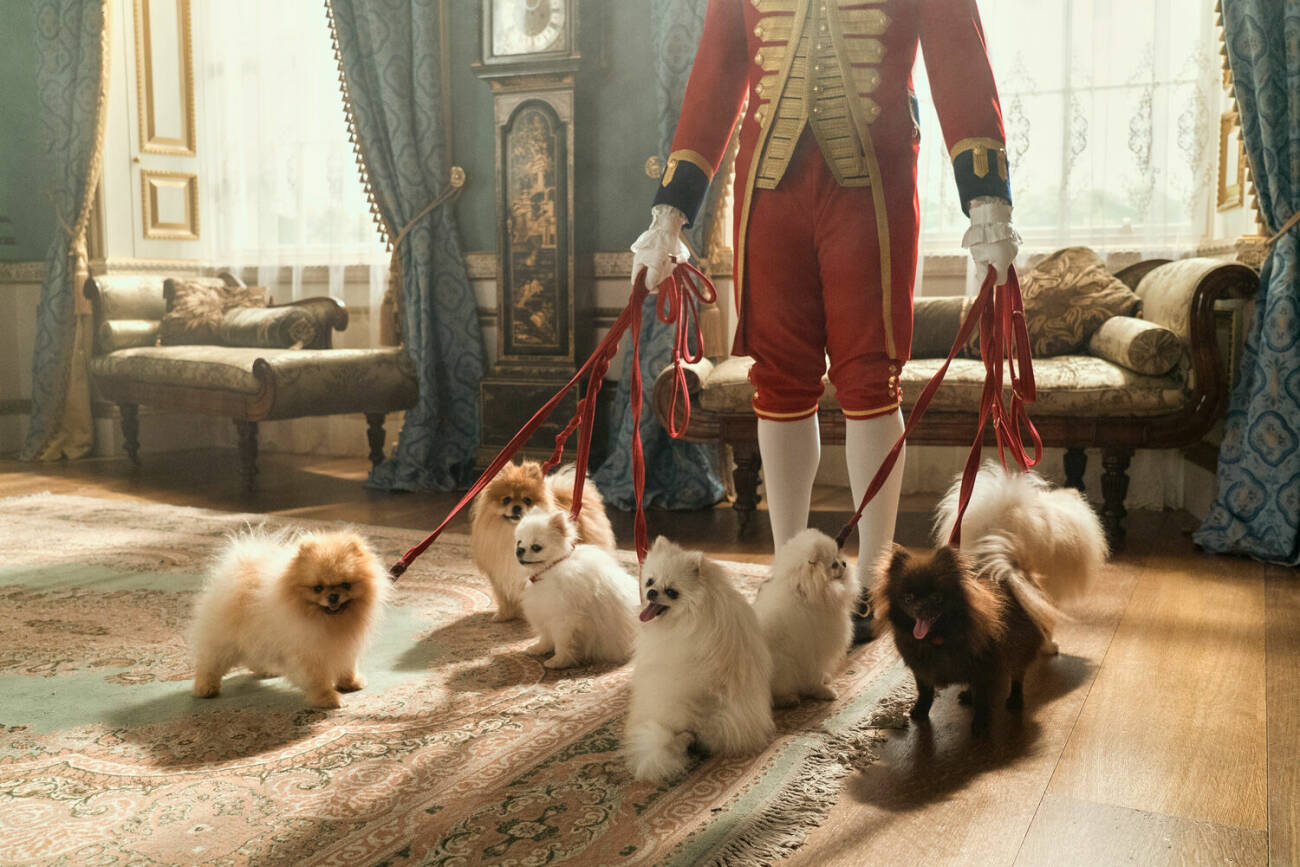 Drottning Charlotte älskade hundrasen Pomeranian