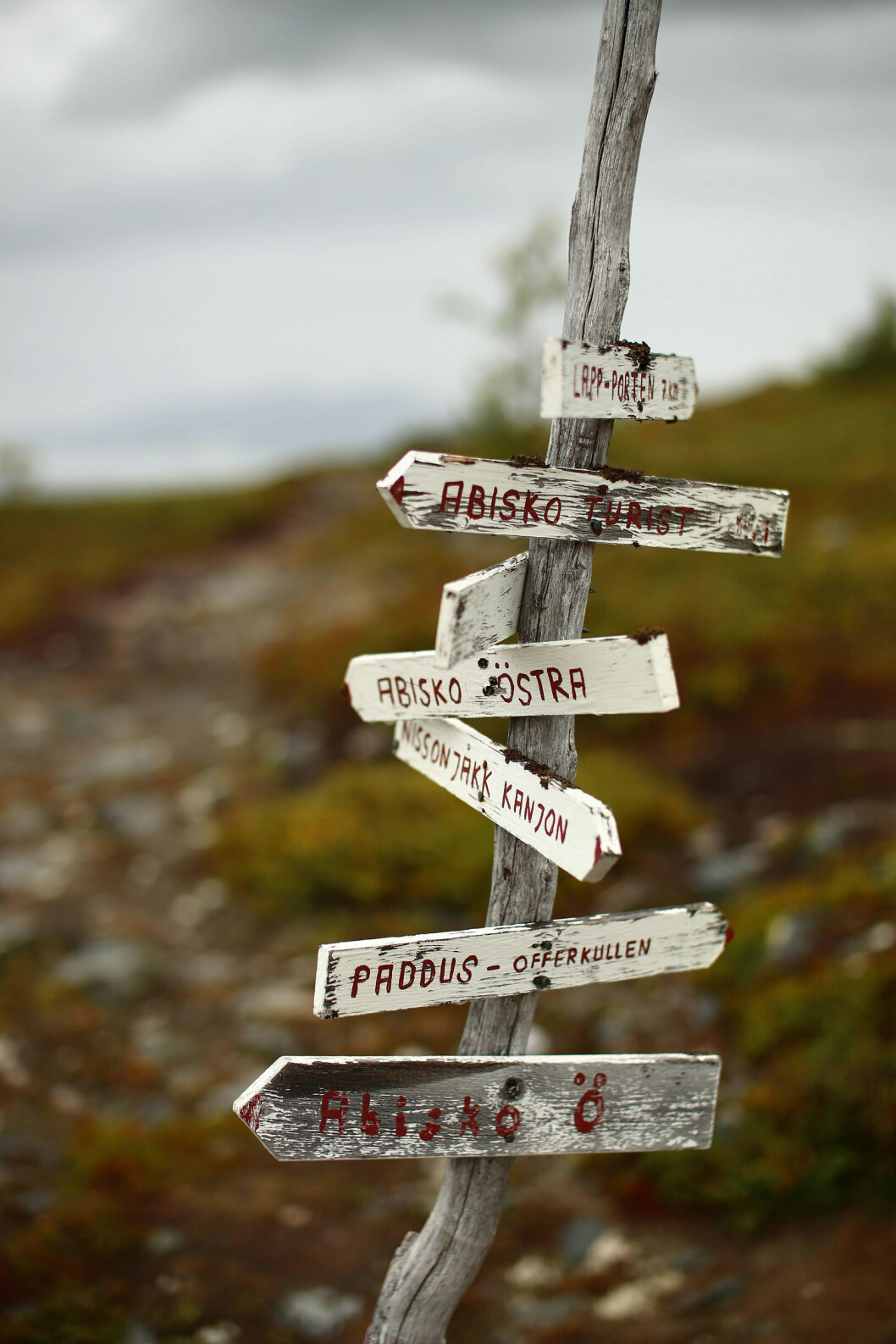 Vägskylt med olika destinationer i Abisko