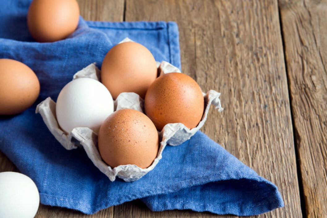 Föredrar du vita eller bruna ägg? Foto: Shutterstock Föredrar du vita eller bruna ägg? Foto: Shutterstock