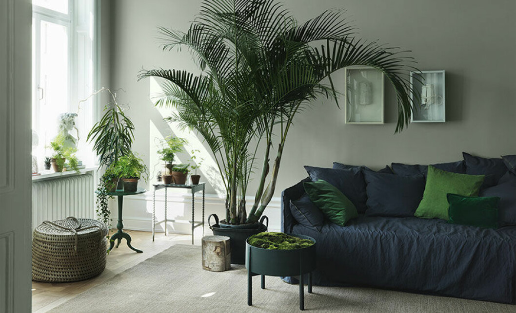 Låt växterna ta plats! Bild från <a href="http://www.alcro.se/Inomhus/Kollektioner/ad16/Grona-drommar/#5" target="_blank" rel="noopener">Alcro</a>. alcro_gront_vaxter