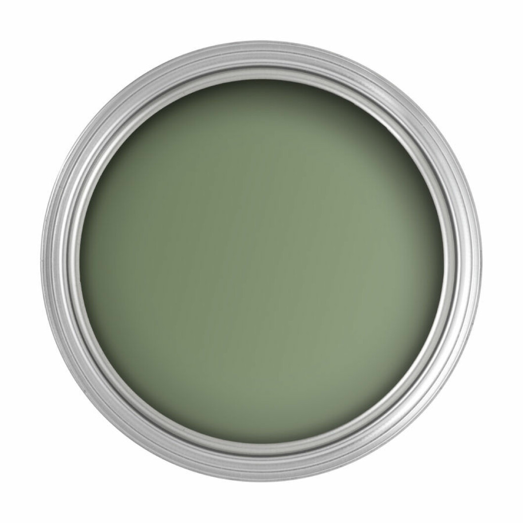 ALCRO_Oregano