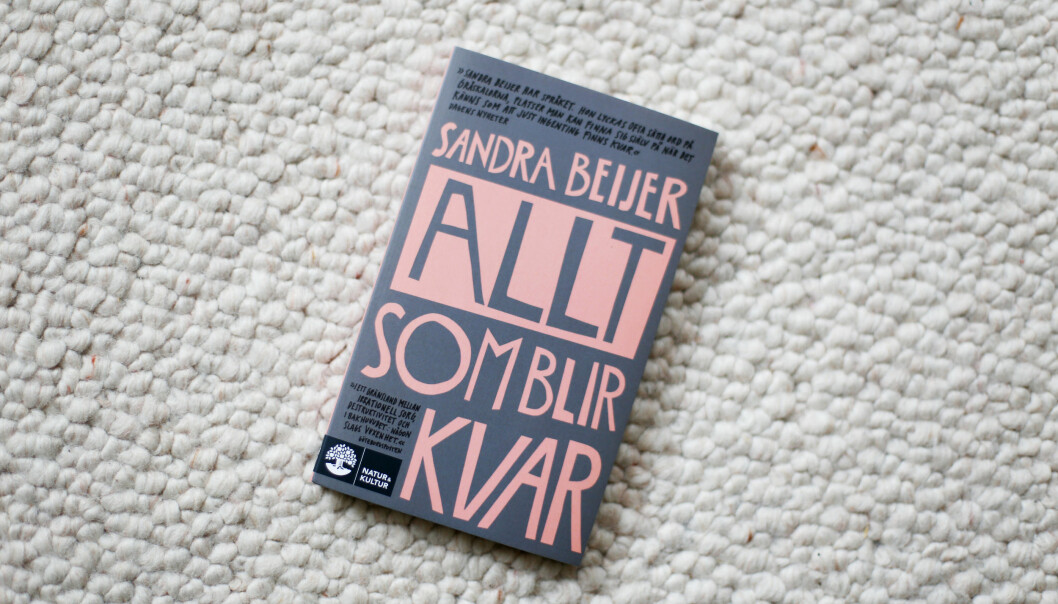 Sandre Beijers bok Allt som blir kvar